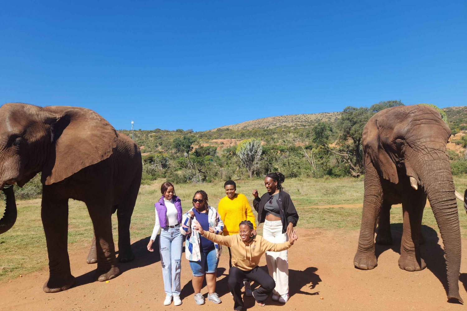 From Johannesburg: Elephant Interaction tour