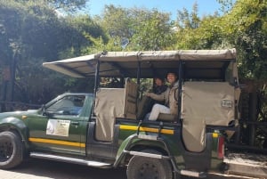 Full-Day Kruger National Park Safari