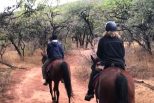 From Johannesburg: Horse-Riding Safari and Cable Car Tour