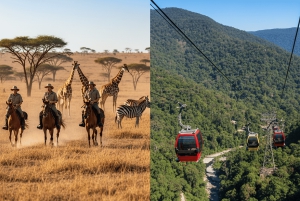 Из Йоханнесбурга: сафари на лошадях и тур по канатной дороге