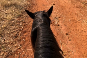 Из Йоханнесбурга: сафари на лошадях и тур по канатной дороге