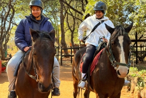 Из Йоханнесбурга: сафари на лошадях и тур по канатной дороге