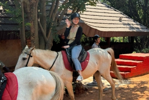 Из Йоханнесбурга: сафари на лошадях и тур по канатной дороге