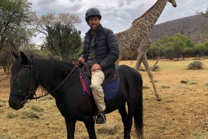 Из Йоханнесбурга: сафари на лошадях и тур по канатной дороге