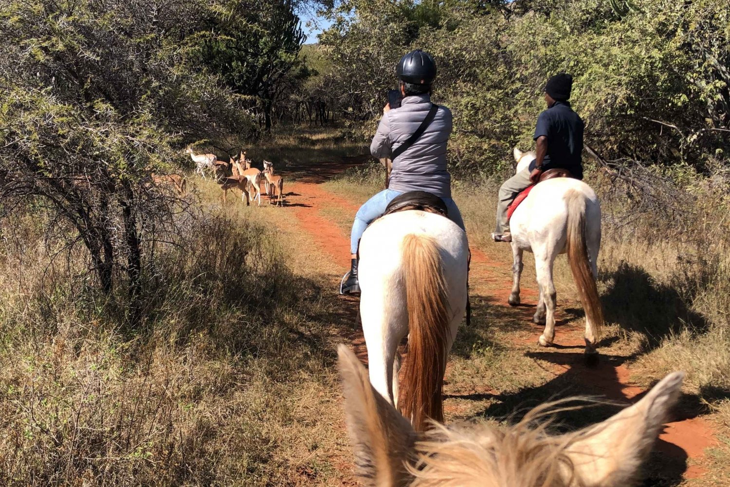 From Johannesburg: Horse-Riding Safari