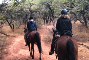 From Johannesburg: Horse-Riding Safari