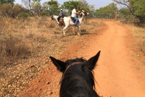 From Johannesburg: Horse-Riding Safari