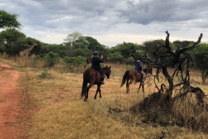 From Johannesburg: Horse-Riding Safari