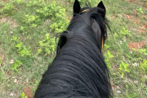 From Johannesburg: Horse-Riding Safari