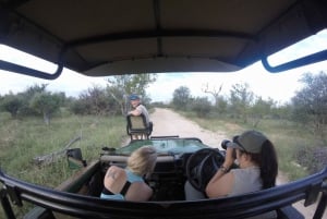 Fra Johannesburg: Kruger nasjonalpark 4-dagers luksussafari