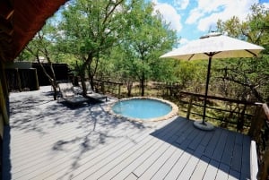 From Johannesburg: Kruger National Park 5-Day Luxury Safari