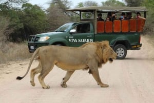 Fra Johannesburg: Kruger National Park 5-dages luksussafari