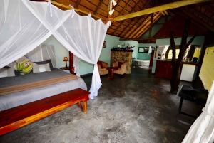 Från Johannesburg: Kruger National Park 5-dagars lyxsafari