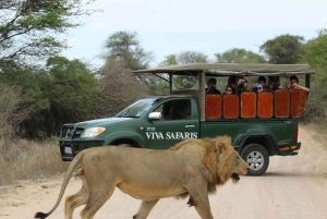 Från Johannesburg: Kruger National Park 5-dagars lyxsafari