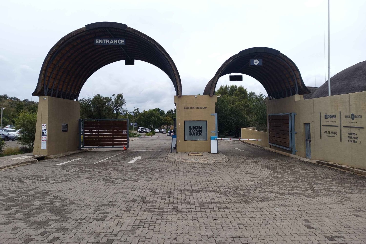 De Joanesburgo: Vila cultural de Lesedi e passeio pelo Lion Park