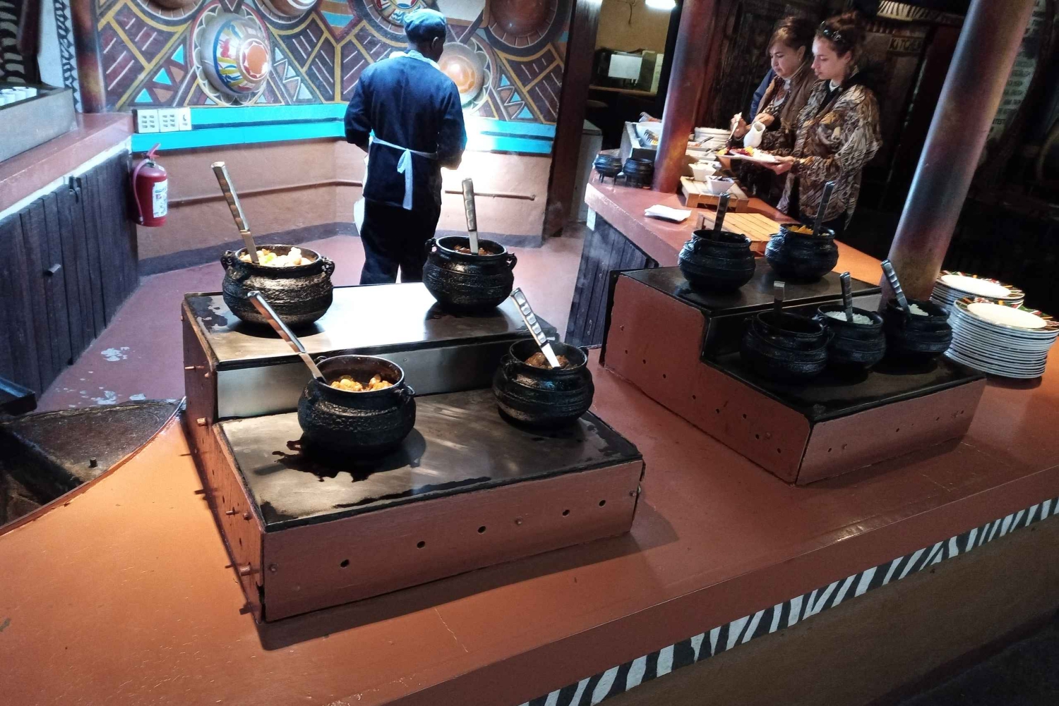 De Joanesburgo: Vila cultural de Lesedi e passeio pelo Lion Park