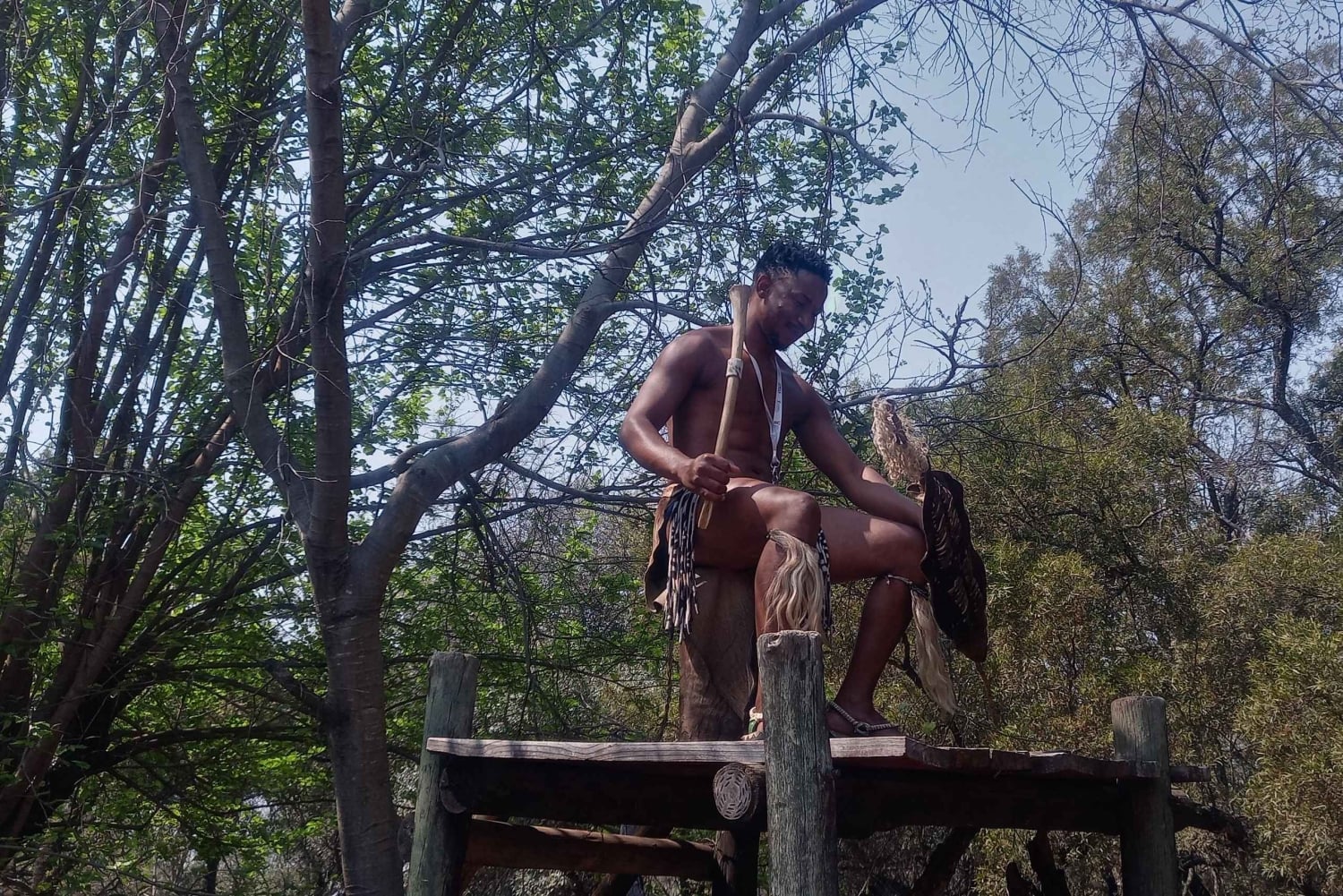 De Joanesburgo: Vila cultural de Lesedi e passeio pelo Lion Park