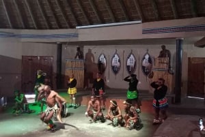 De Joanesburgo: Vila cultural de Lesedi e passeio pelo Lion Park