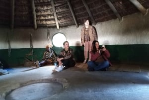 Depuis Johannesburg : Village culturel de Lesedi et visite du parc des lions