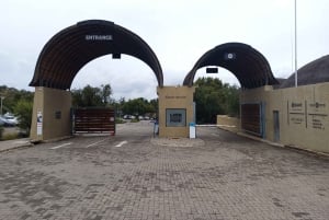 Depuis Johannesburg : Village culturel de Lesedi et visite du parc des lions