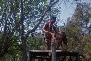 Depuis Johannesburg : Village culturel de Lesedi et visite du parc des lions