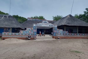 De Joanesburgo: Vila cultural de Lesedi e passeio pelo Lion Park