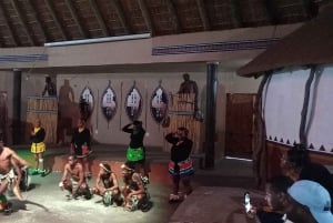 De Joanesburgo: Vila cultural de Lesedi e passeio pelo Lion Park