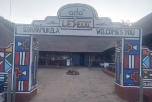 De Joanesburgo: Vila cultural de Lesedi e passeio pelo Lion Park