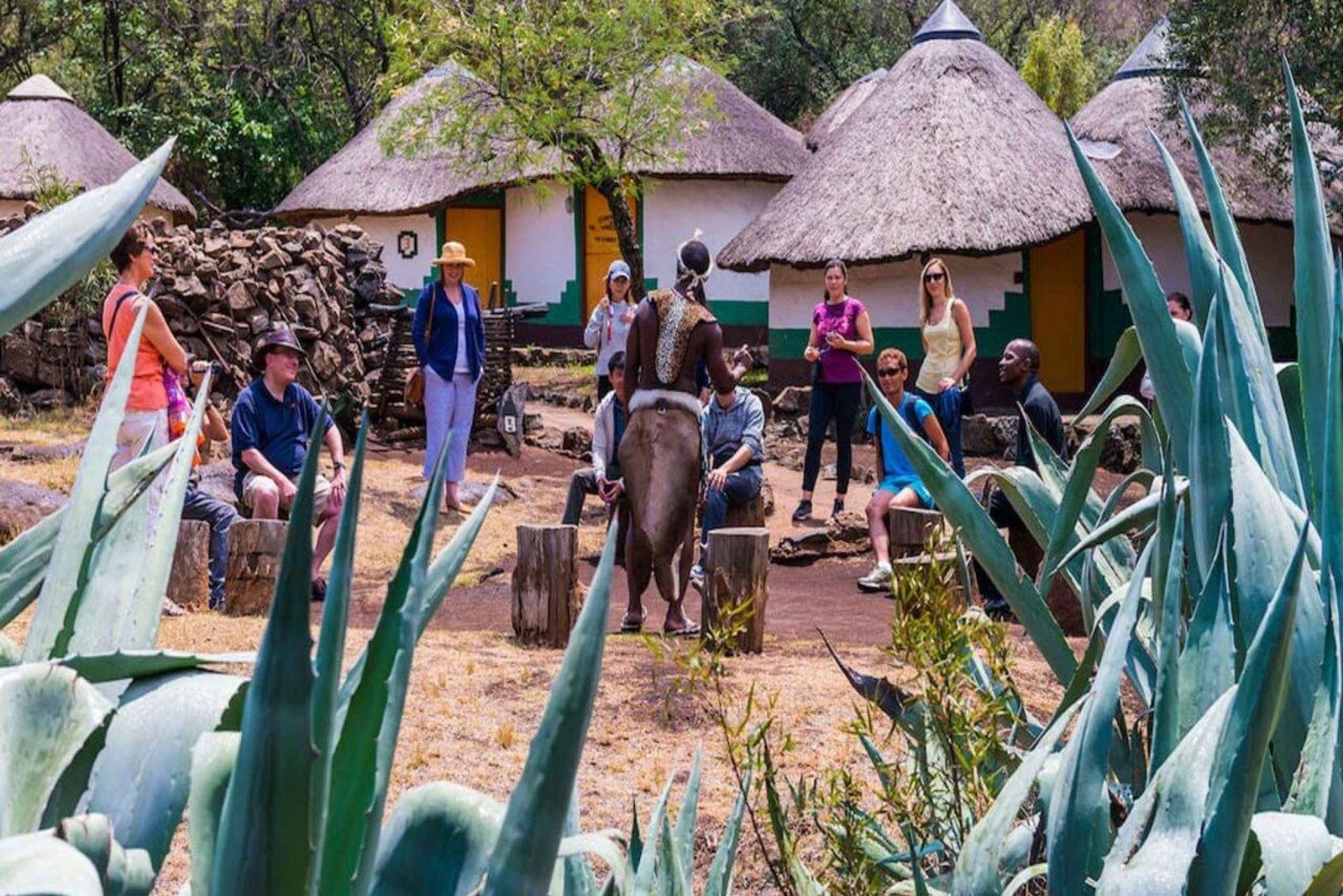 Fra Johannesburg: Lion Park-tur med utflukt til landsbyen Lesedi