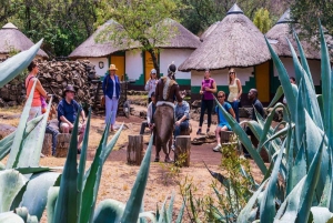 Da Johannesburg : Tour del Parco dei Leoni con visita al villaggio di Lesedi