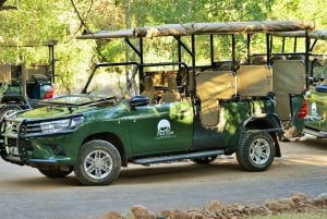 From Johannesburg: Pilanesberg Nature Reserve Game Safari