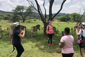 Pretoriasta: E-pyöräillen riistan kanssa luonnossa lähellä Jo'burgia