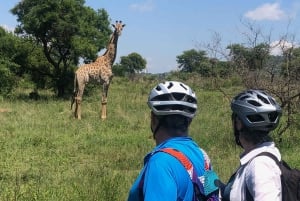 Von Pretoria aus: Mit dem E-Bike in der Wildnis bei Jo'burg