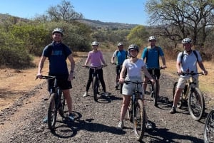 Depuis Pretoria : E-Bike dans la nature avec du gibier près de Jo'burg