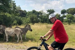 De Pretória: E-Bike na selva com jogo perto de Jo'burg