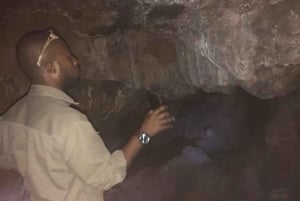 De Pretória: E-Bike na selva com jogo perto de Jo'burg