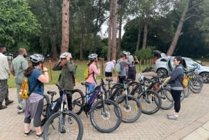 De Pretória: E-Bike na selva com jogo perto de Jo'burg