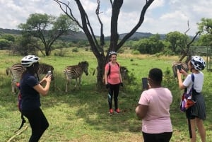 De Pretória: E-Bike na selva com jogo perto de Jo'burg