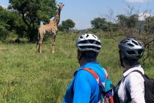De Pretória: E-Bike na selva com jogo perto de Jo'burg