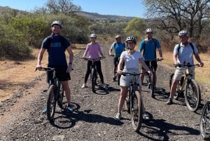 De Pretória: E-Bike na selva com jogo perto de Jo'burg
