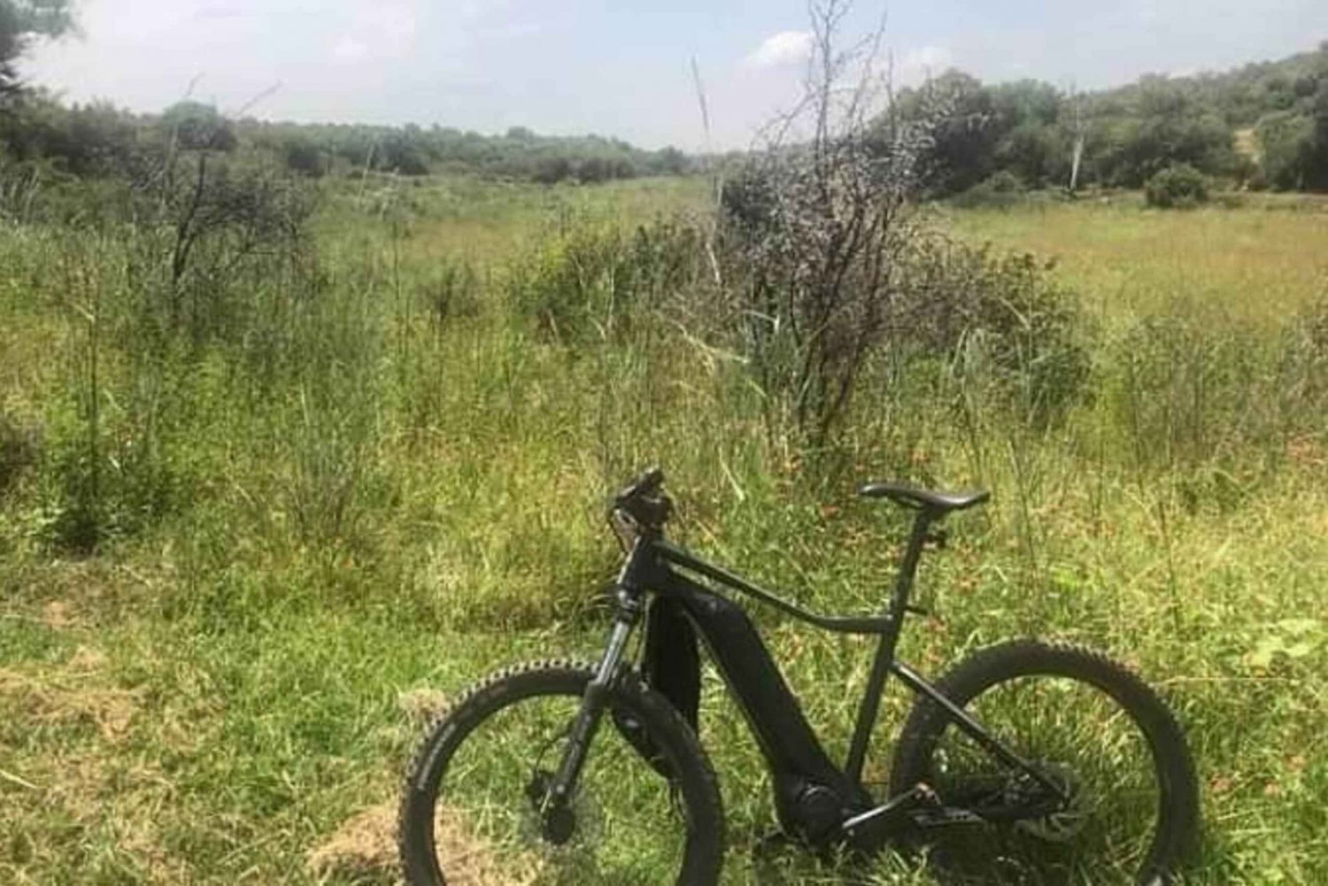 From Pretoria: E-Bike in the wild with game near Jo'burg