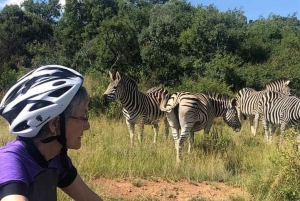 Pretoriasta: E-pyöräillen riistan kanssa luonnossa lähellä Jo'burgia
