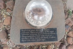 Fra Pretoria/Sandton: Tur til Maropeng - menneskehetens vugge