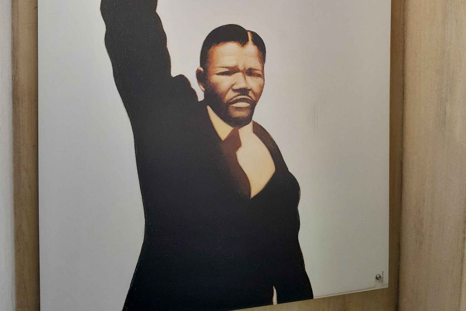 Dagstur til Soweto, Johannesburg og Apartheidmuseet