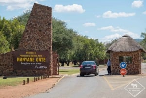 Gauteng: Private Guided Tour with Driver