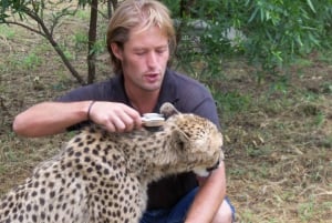 Guided Lion Walk + Predator Tour + Cheetah Demonstration