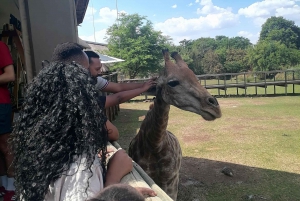 LEEUWEN- EN SAFARIPARK HALFDAAGSE TOUR