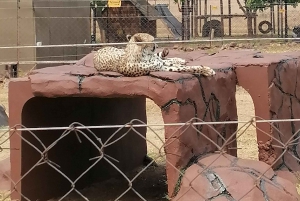 LEEUWEN- EN SAFARIPARK HALFDAAGSE TOUR