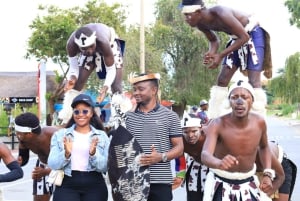 Halvdagstur med guide til Soweto og Apartheidmuseet