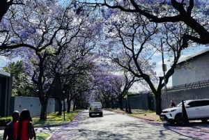 Halvdagstur med guide til Soweto og Apartheidmuseet